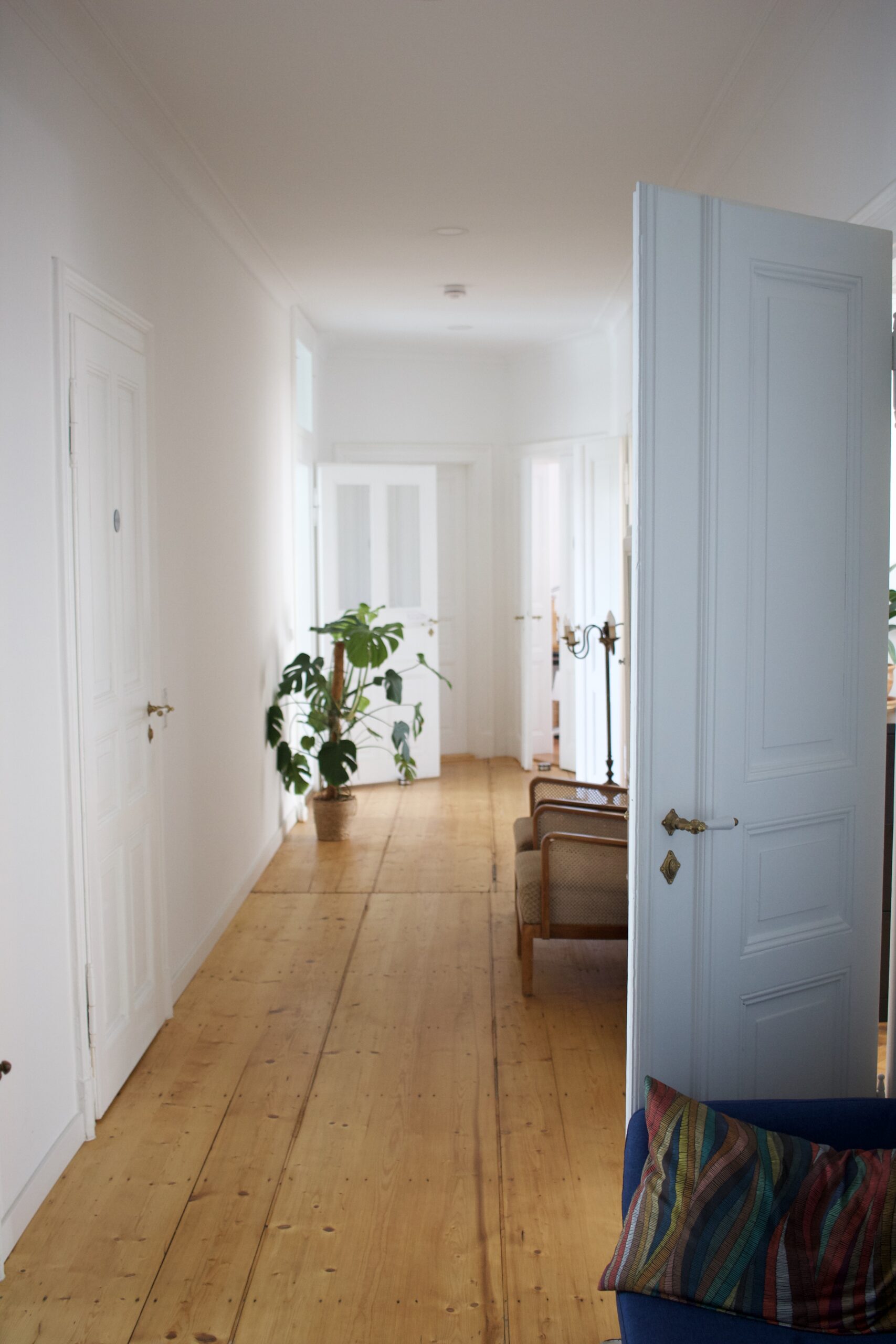 ein heller und freundlicher Flur einer Altbauwohnung mit Holzfußboden, weiß lackierten Türen und einer Pflanze im Hintergrund